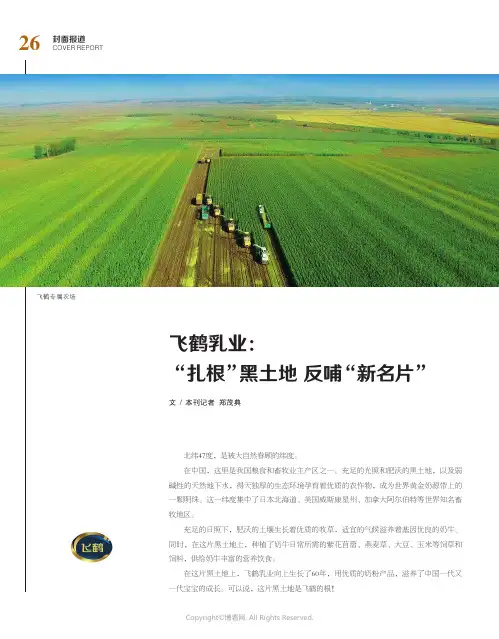飞鹤乳业：“扎根”黑土地_反哺“新名片”