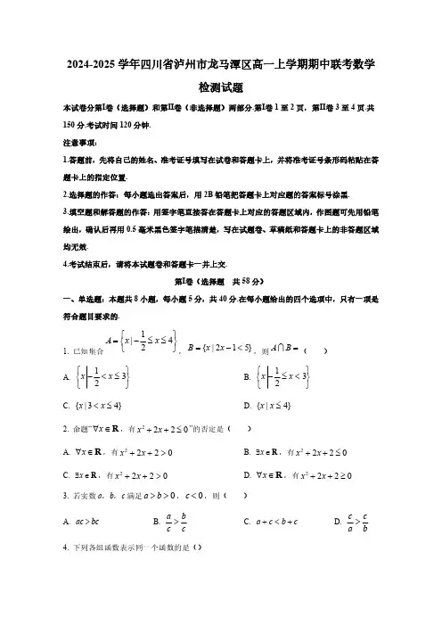 2024-2025学年四川省泸州市龙马潭区高一上学期期中联考数学检测试题(含解析)