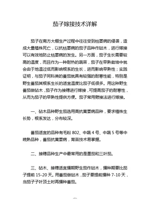 茄子嫁接技术详解