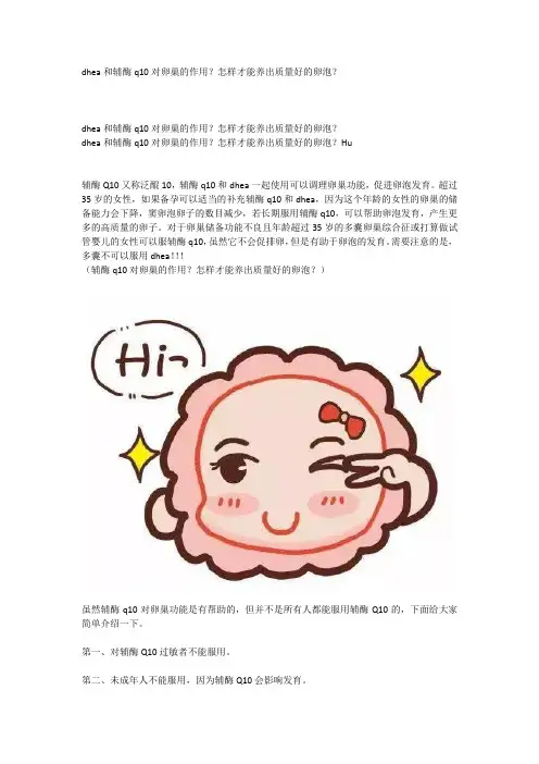 dhea和辅酶q10对卵巢的作用？怎样才能养出质量好的卵泡？