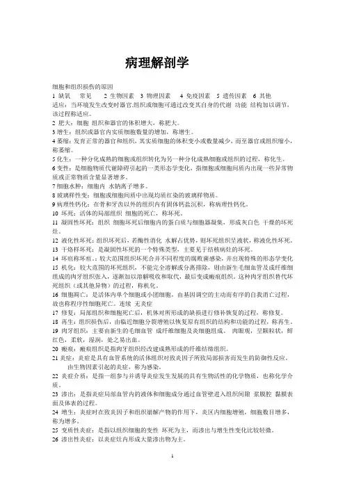 病理解剖学