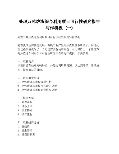 处理万吨炉渣综合利用项目可行性研究报告写作模板 (一)