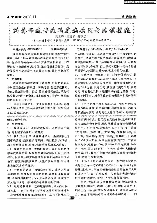 笼养鸡疲劳症的发病原因与防制措施