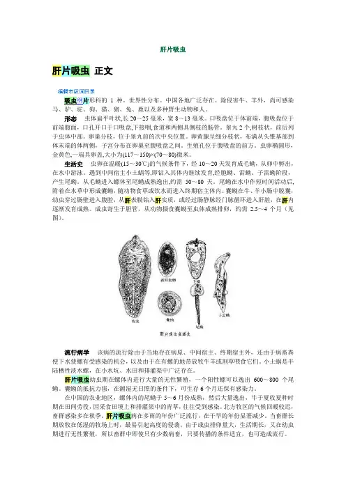 肝片吸虫和布氏姜片虫