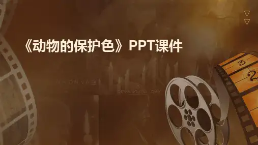 《动物的保护色》PPT课件