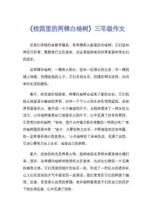 《校园里的两棵白杨树》三年级作文