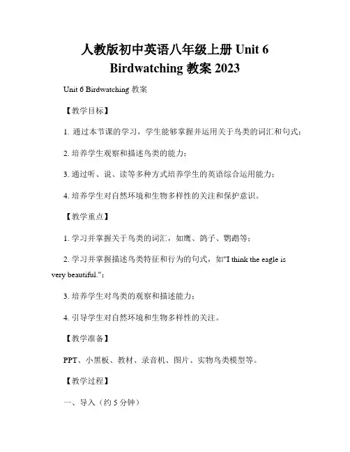 人教版初中英语八年级上册Unit 6 Birdwatching 教案2023