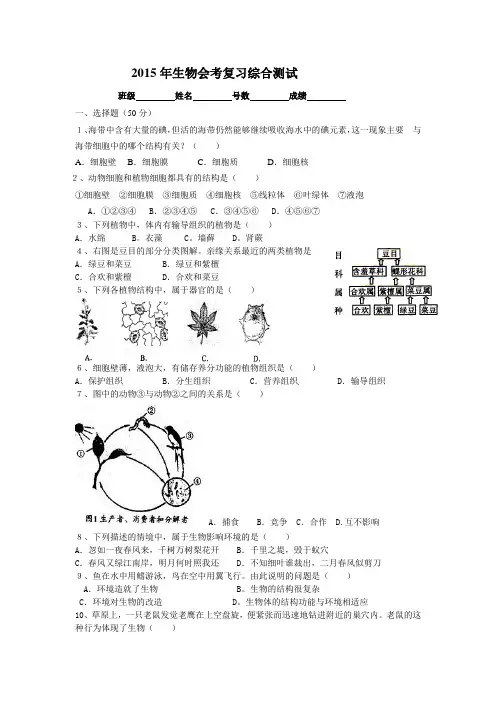 15年生物会考综合卷