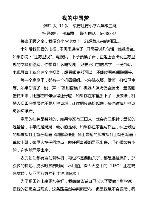 我的中国梦5