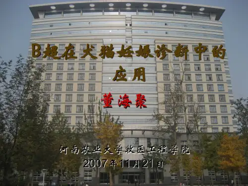 【企业诊断】B超在犬猫妊娠诊断中的应用