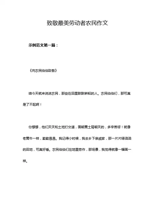 致敬最美劳动者农民作文