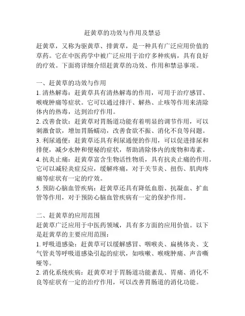 赶黄草的功效与作用及禁忌