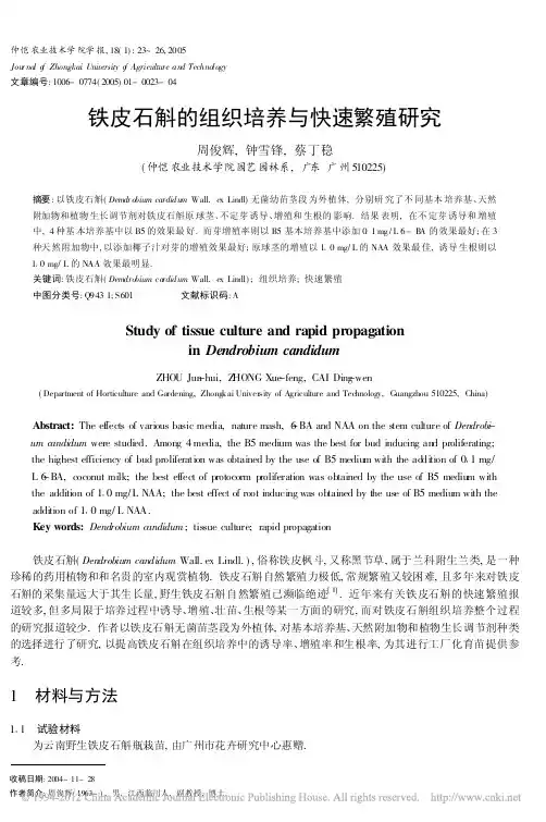 铁皮石斛的组织培养与快速繁殖研究