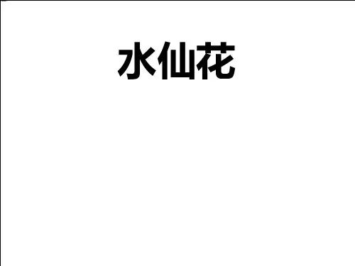 【小学课件】《水仙花》   优质教学PPT