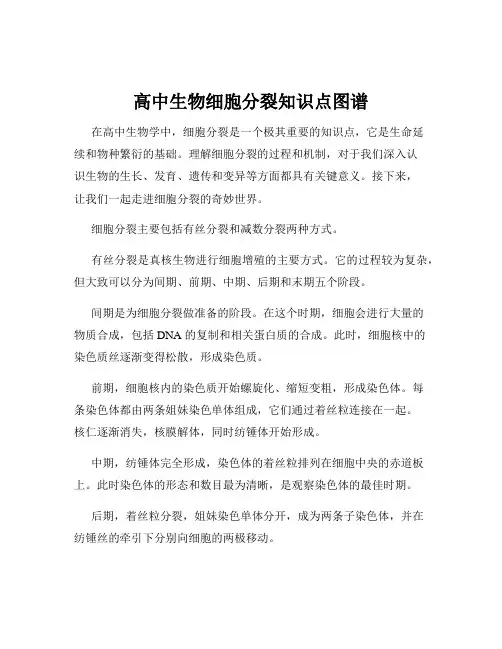 高中生物细胞分裂知识点图谱