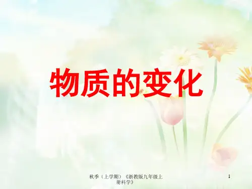 浙教版九年级上册科学《第1节 物质的变化》课件