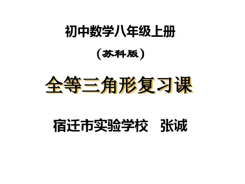 初中数学苏科版八年级上册小结与思考