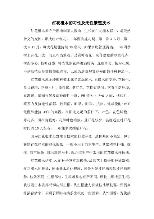 红花檵木的习性及无性繁殖技术