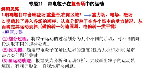 高考物理一轮复习课件：专题 带电粒子在复合场中的运动