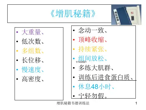 增肌秘籍韦德训练法培训课件