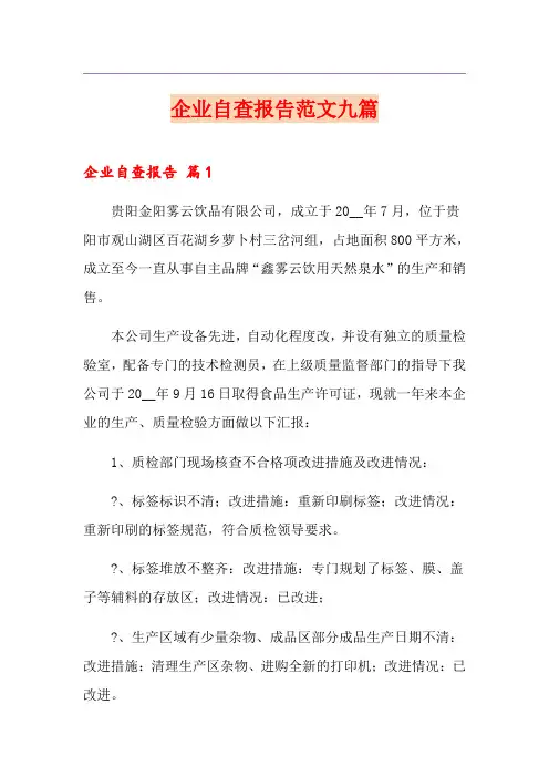 企业自查报告范文九篇