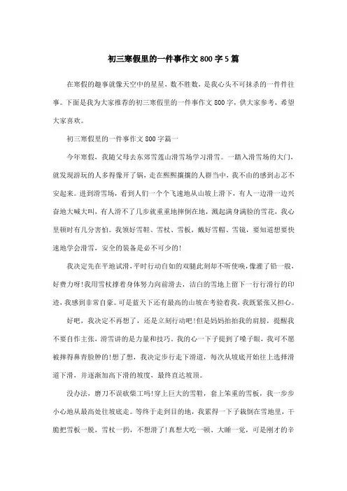 初三寒假里的一件事作文800字5篇