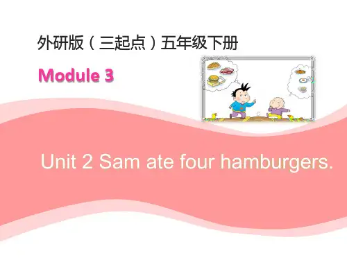五年级英语下册课件-Module 3 Unit 2 Sam ate four hamburgers.310-外研版（三起）