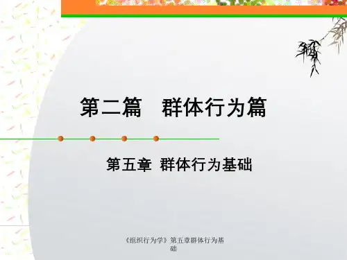 《组织行为学》第五章群体行为基础