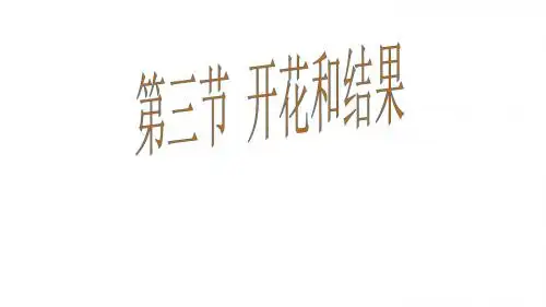开花和结果ppt