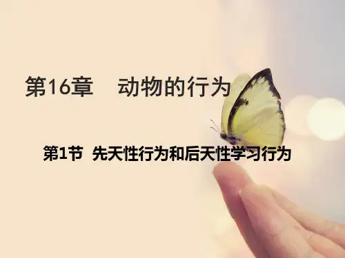 16.1动物的先天性行为和后天学习行为