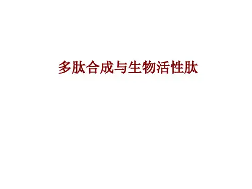 多肽合成与生物活性肽复习进程