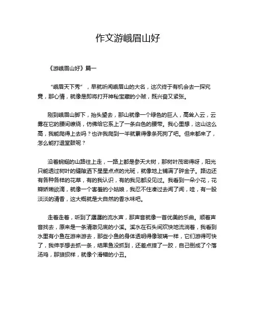 作文游峨眉山好