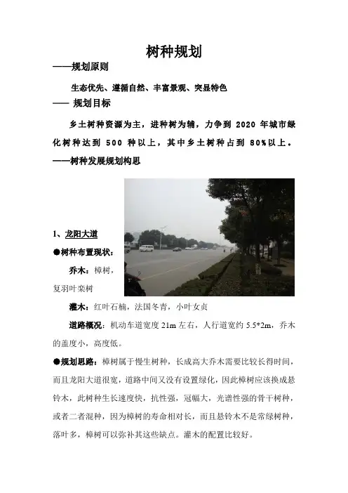 树种规划