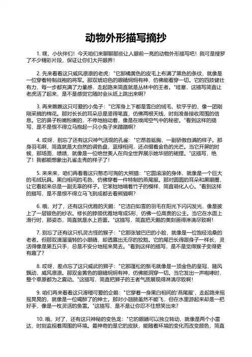 动物外形描写摘抄