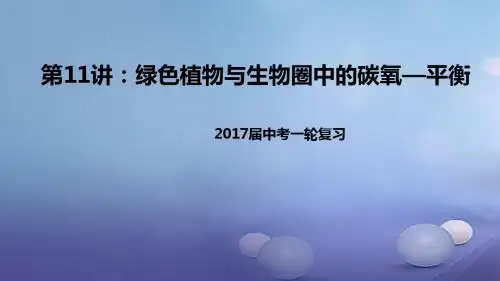 中考生物一轮复习第11讲绿色植物与生物圈中的碳氧—平