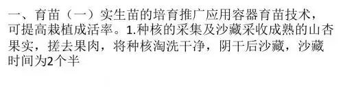银杏树苗杏的育山造林技术