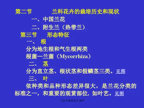 兰花多媒体教学课件