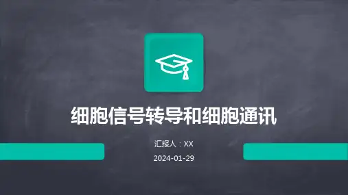 细胞信号转导和细胞通讯