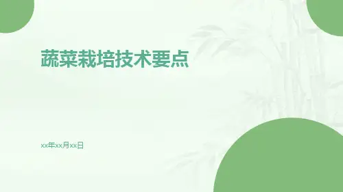蔬菜栽培技术要点