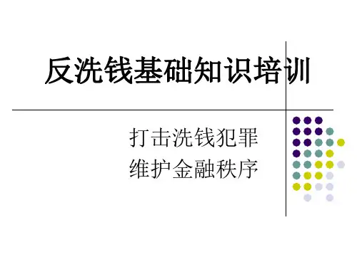 反洗钱基础知识培训 ppt课件