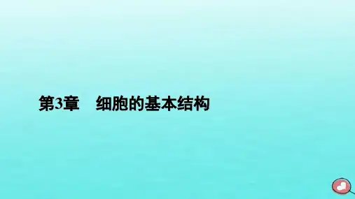 新教材2023年高中生物 第3章 第3节 细胞核的结构和功能课件 新人教版必修1