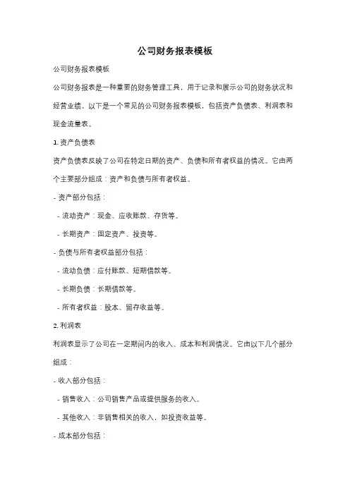 公司财务报表模板