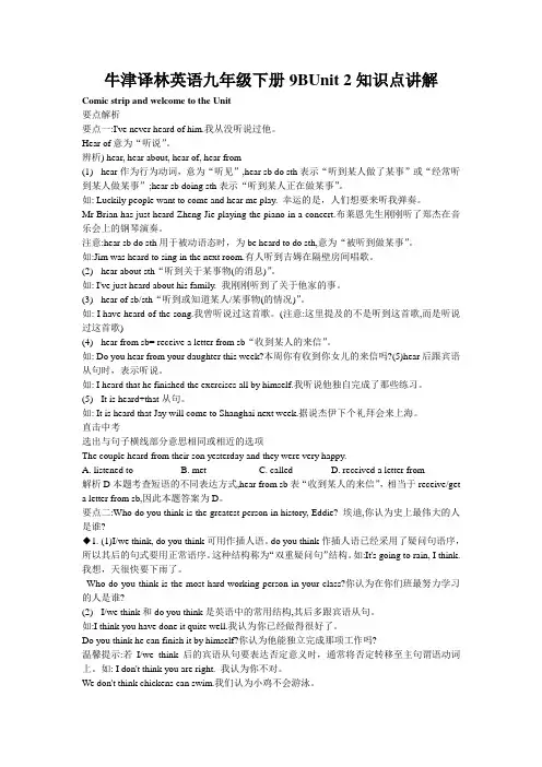 牛津译林英语九年级下册9BUnit2知识点讲解