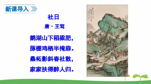 人教版八年级下册语文全册课件(2019新版教材)
