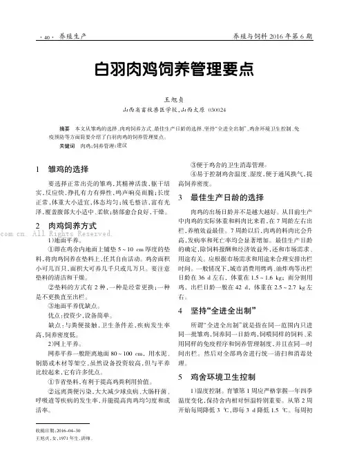 白羽肉鸡饲养管理要点
