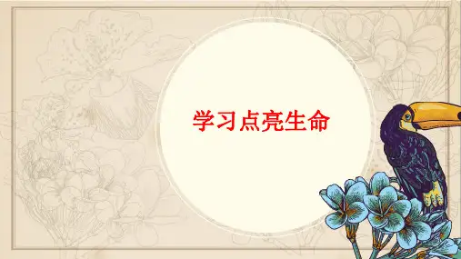 学习点亮生命
