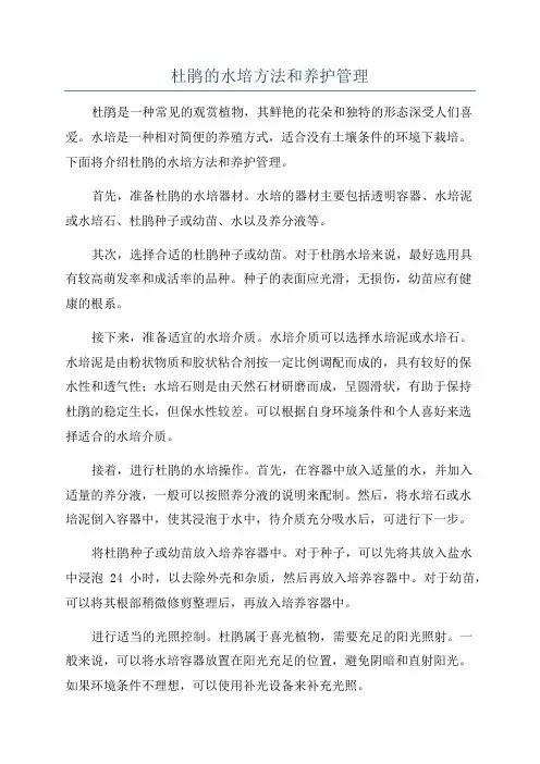杜鹃的水培方法和养护管理
