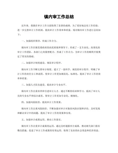 镇内审工作总结