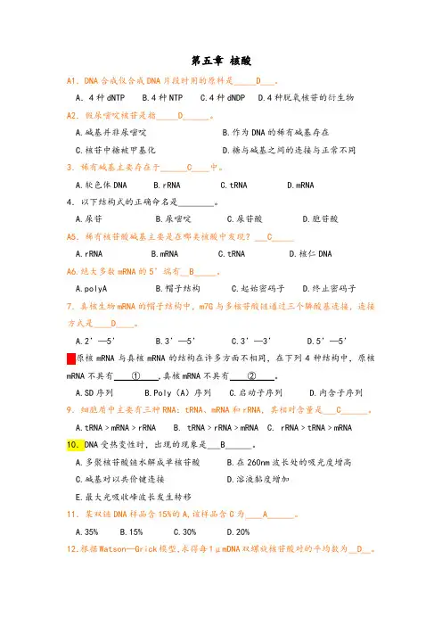 生物化学习题—核酸
