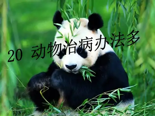 最新湘教版小学语文三年级上册课件：动物治病办法多多课件 优质课件